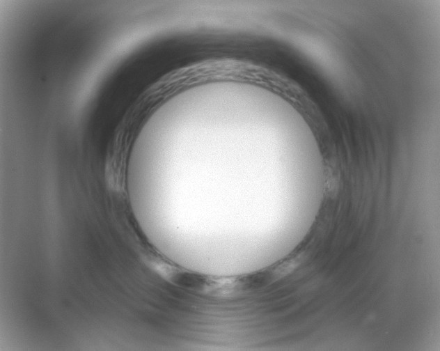 X0000068260431200605121825