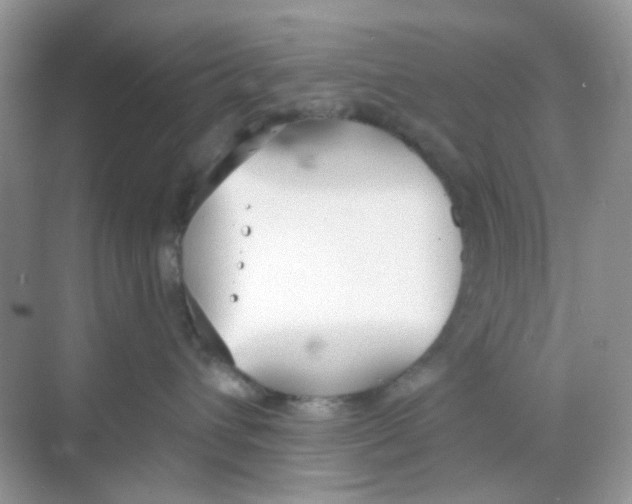 X0000068260432200605121825