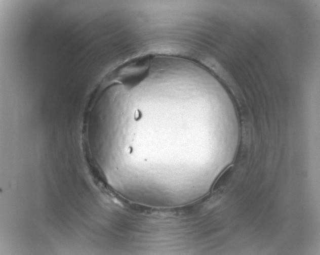 X0000068260434200605121824