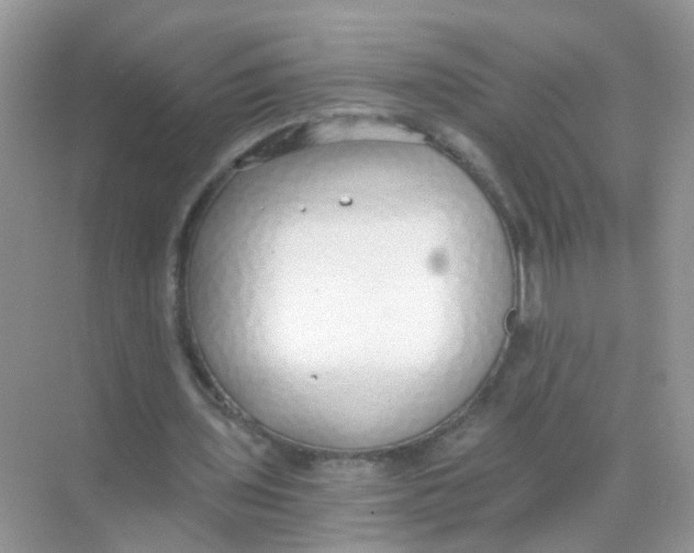 X0000068260435200605121824