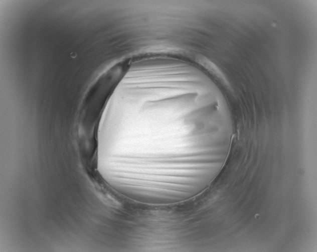 X0000068260436200605121824