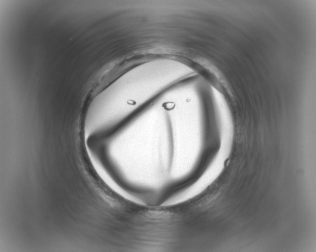 X0000068260437200605121824