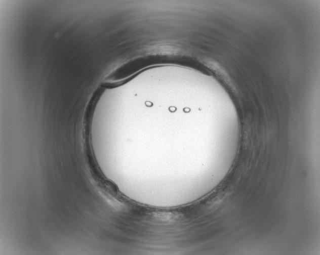 X0000068260439200605121824