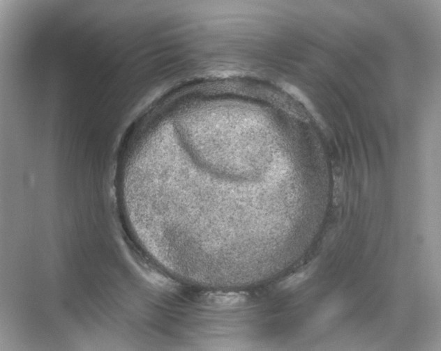 X0000068260443200605121824