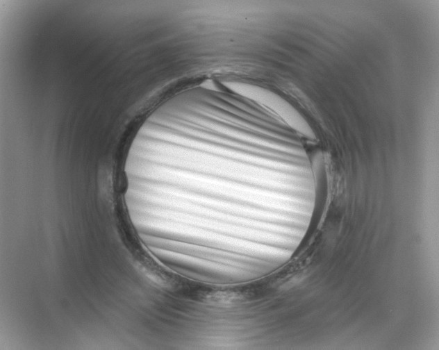 X0000068260444200605121824