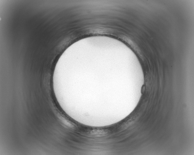 X0000068260445200605121824