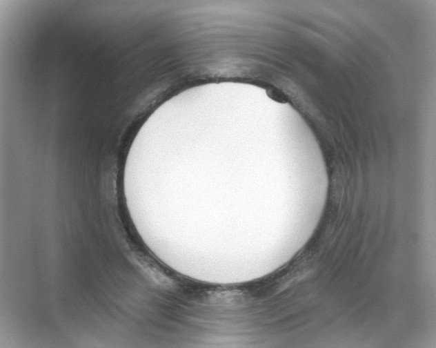 X0000068260446200605121824