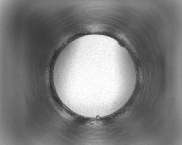 X0000068260447200605121824