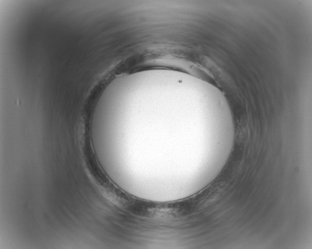 X0000068260448200605121824