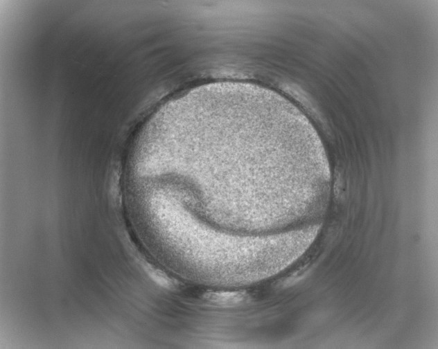 X0000068260449200605121824