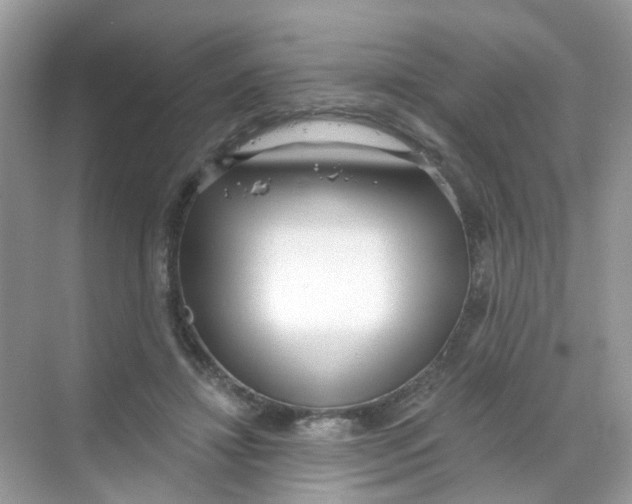 X0000068260452200605121824