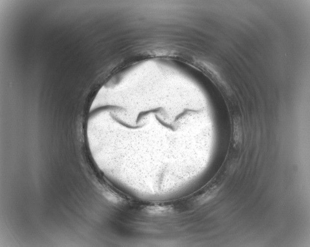 X0000068260453200605121824