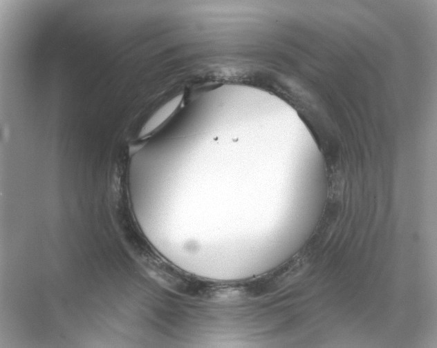 X0000068260456200605121824