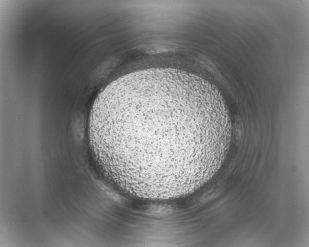 X0000068260458200605121824