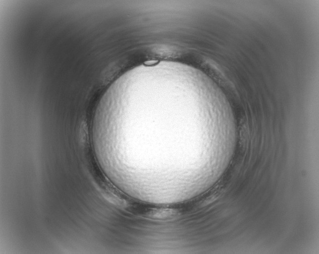 X0000068260459200605121824