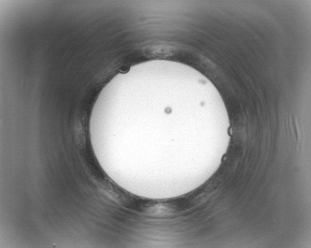 X0000068260460200605121824