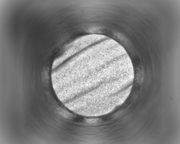 X0000068260461200605121824