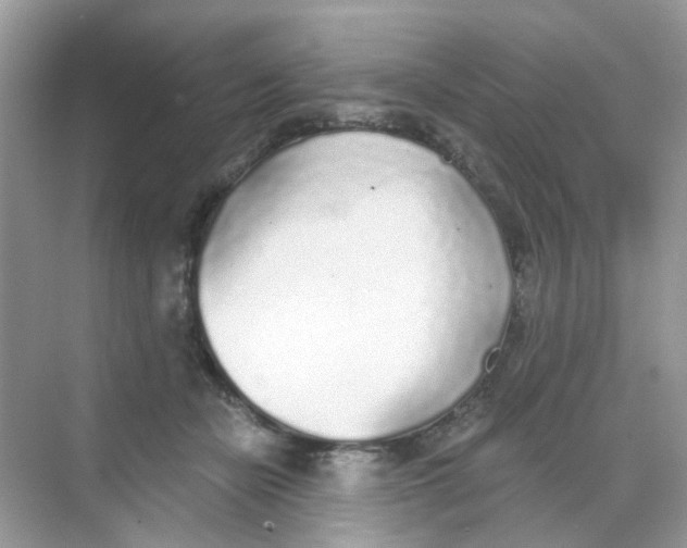 X0000068260462200605121825