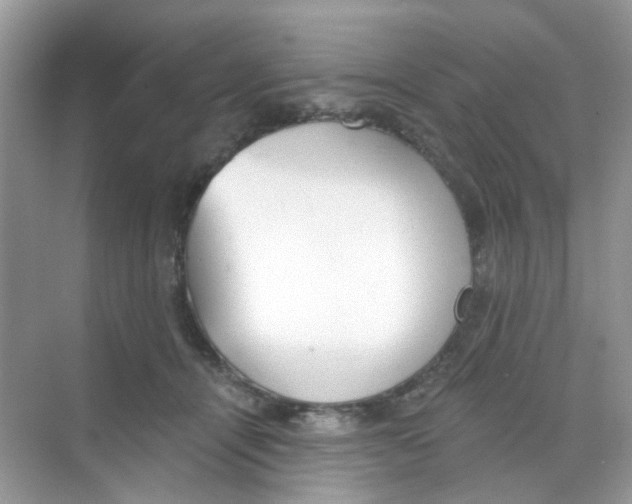 X0000068260464200605121825