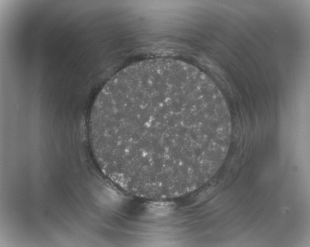 X0000068260465200605121825