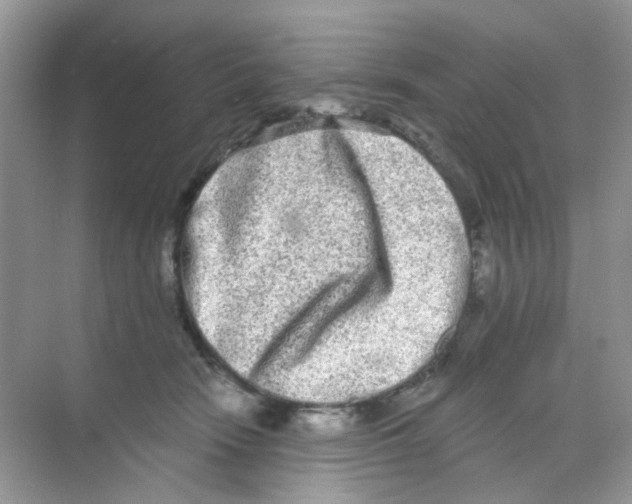 X0000068260466200605121825