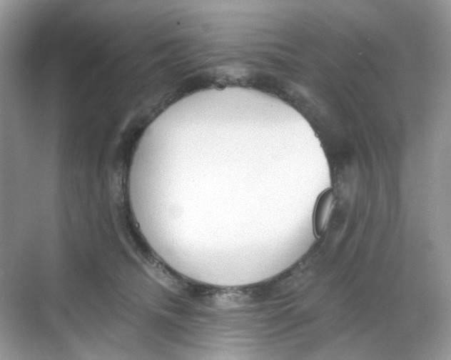 X0000068260468200605121825