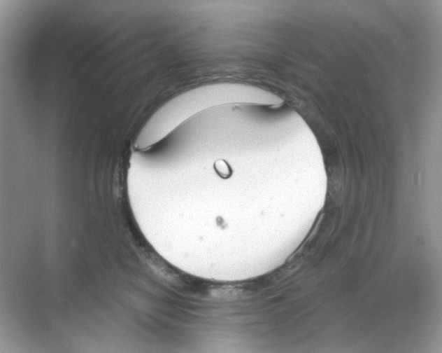 X0000068260470200605121825