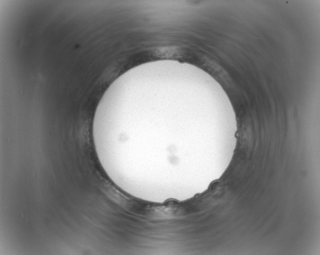 X0000068260473200605121825