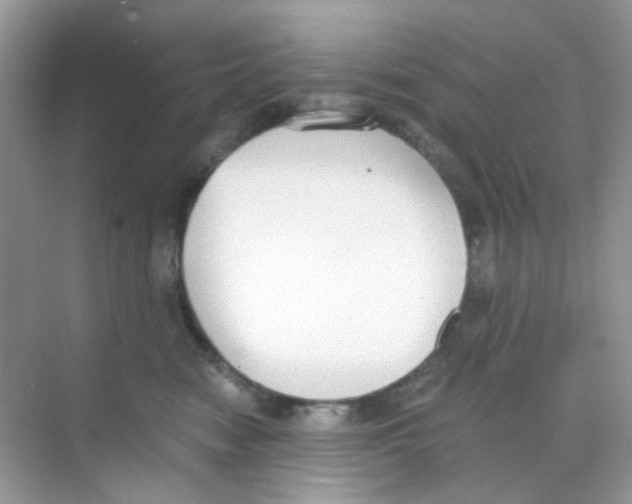 X0000068260474200605121825