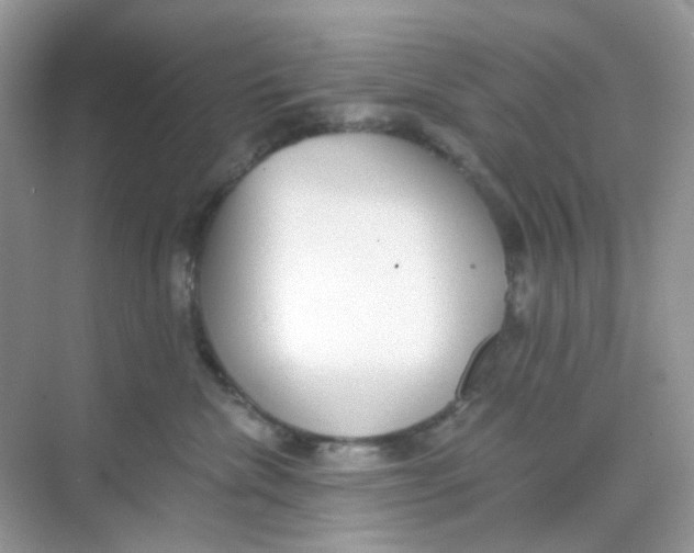 X0000068260476200605121825