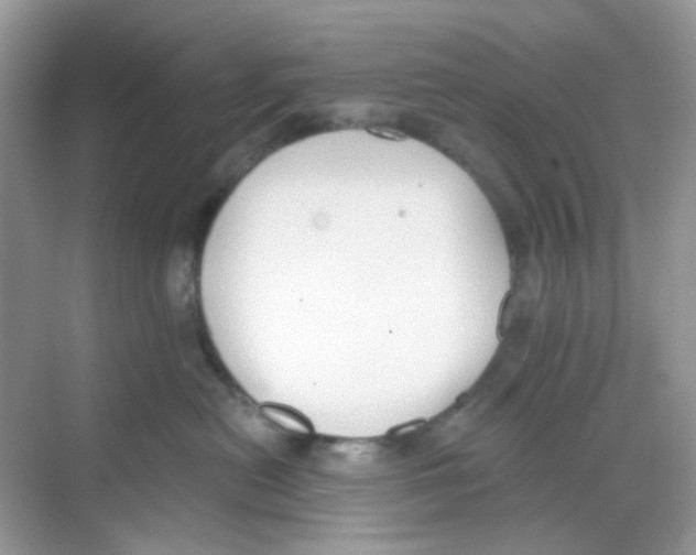 X0000068260478200605121825