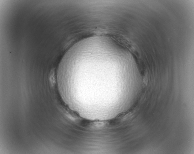 X0000068260479200605121825