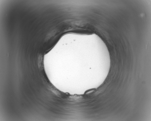 X0000068260480200605121825