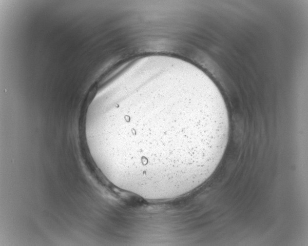 X0000068260482200605121824