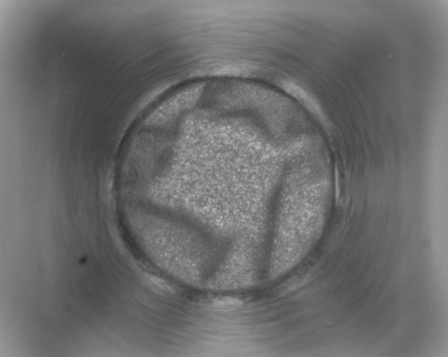 X0000068260483200605121824