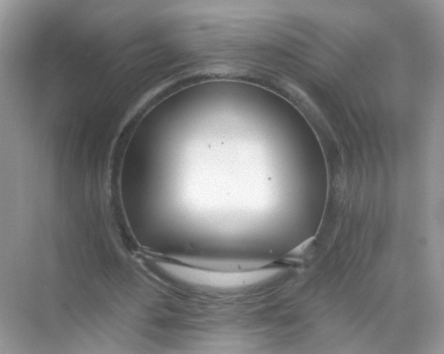 X0000068260484200605121824