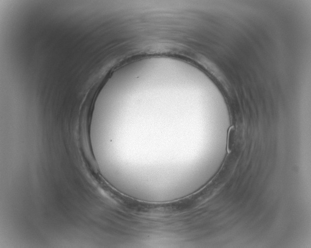 X0000068260485200605121824