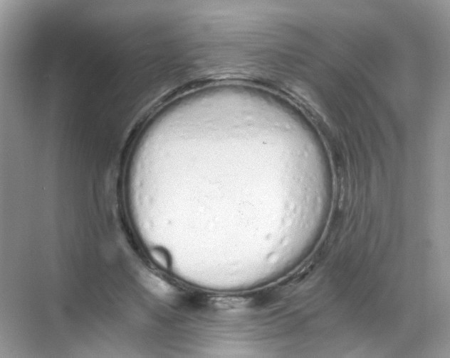 X0000068260491200605121824