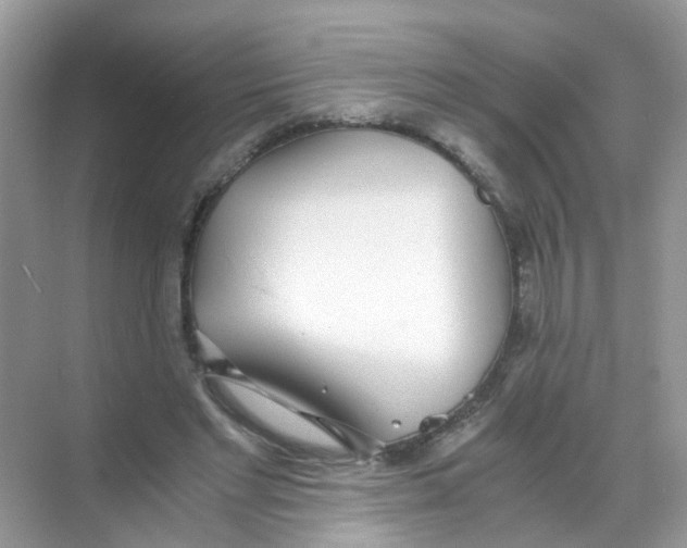 X0000068260493200605121824