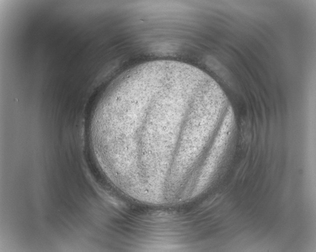 X0000068260494200605121824