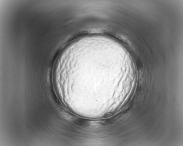 X0000068260495200605121824