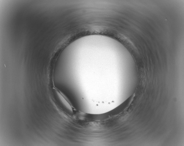 X0000068260496200605121824