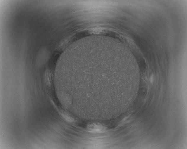 X0000068260503200605121824