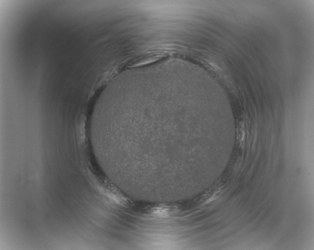 X0000068260504200605121824