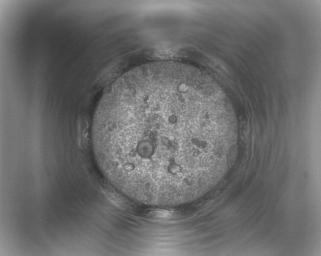 X0000068260507200605121824