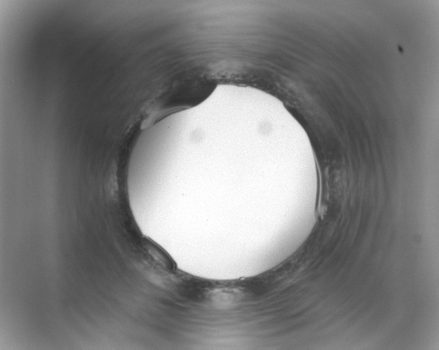 X0000068260508200605121824