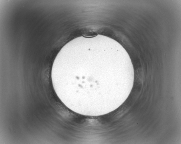 X0000068260509200605121824