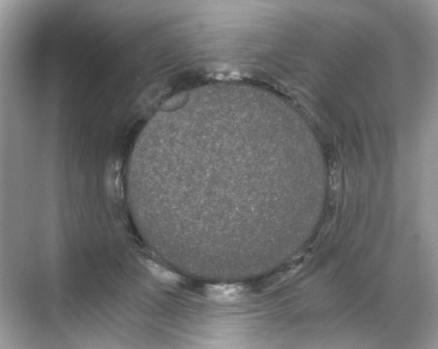 X0000068260511200605121823