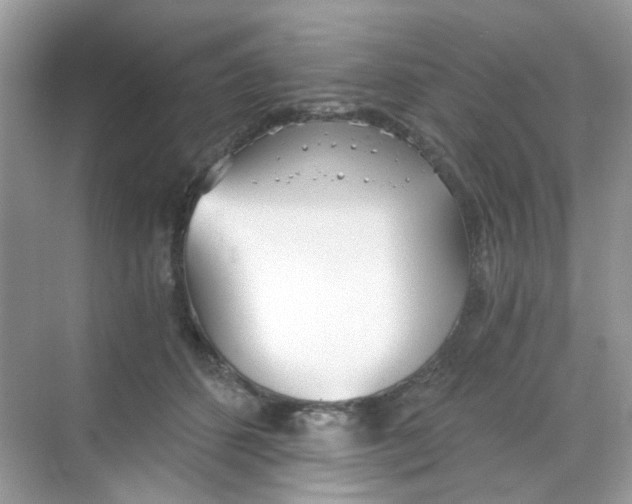 X0000068260512200605121823