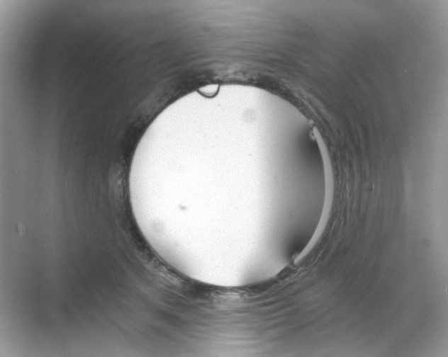 X0000068260513200605121823